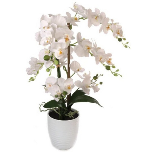 22" x 18" White Phalaenopsis Orchid with 5" White Ribbed Pot - Realistic Faux Orchid Plant with 34 Flowers and 4 Leaves