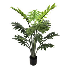 40" Philo Selloum Plant in Black Pot