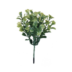 Boxwood Pick - Larksilk