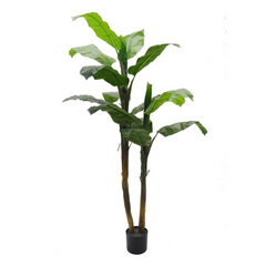 6ft Banana Palm Tree in Pot w/ 27 Silk Leaves