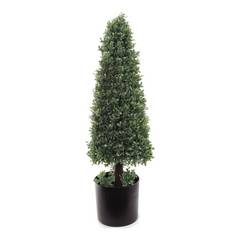 30" Boxwood Cone Topiary Tree in Black Pot