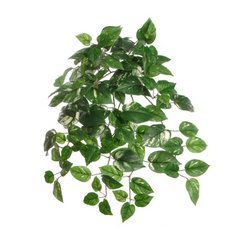 Pothos Ivy Bush w/ 117 Silk Leaves - 23" Long