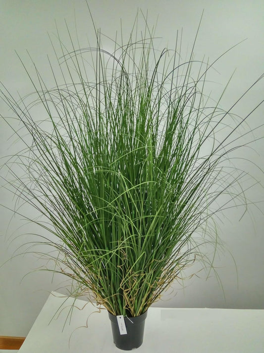 4-Foot Lifelike Curly Grass Plant - Elegant Artificial Greenery in Decorative Pot, Ideal for Indoor Home Decor