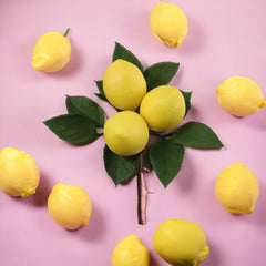 8" Lemon Pick 2024 Christmas Collection