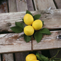 8" Lemon Pick 2024 Christmas Collection