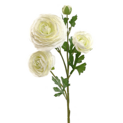 Ranunculus Spray - 26"