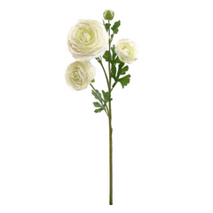 Ranunculus Spray - 26"