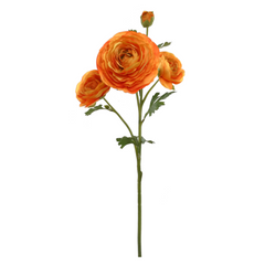 Ranunculus Spray - 26"