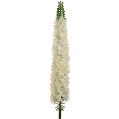 27" Foxtail Spray