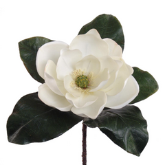 15" Magnolia Pick - 2025 Spring Collection