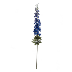 37" Delphinium Stem - 2025 Spring Collection