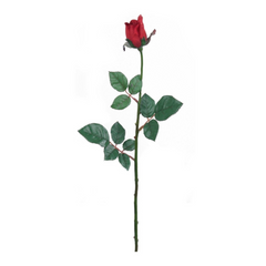 27" Planters Rose Bud Stem - 2025 Spring Collection