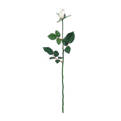 27" Planters Rose Bud Stem - 2025 Spring Collection