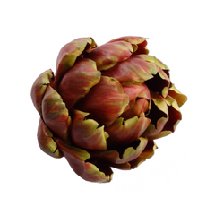 5.5" Artichoke