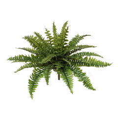 Boston Fern Plant w/ 27 Silk Fronds - 28" Wide