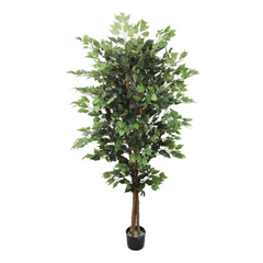 6ft Ficus Tree in Pot w/ 1512 Silk Leaves