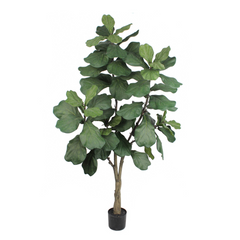 6ft Fiddle Tree in Pot w/ 65 Silk Leaves